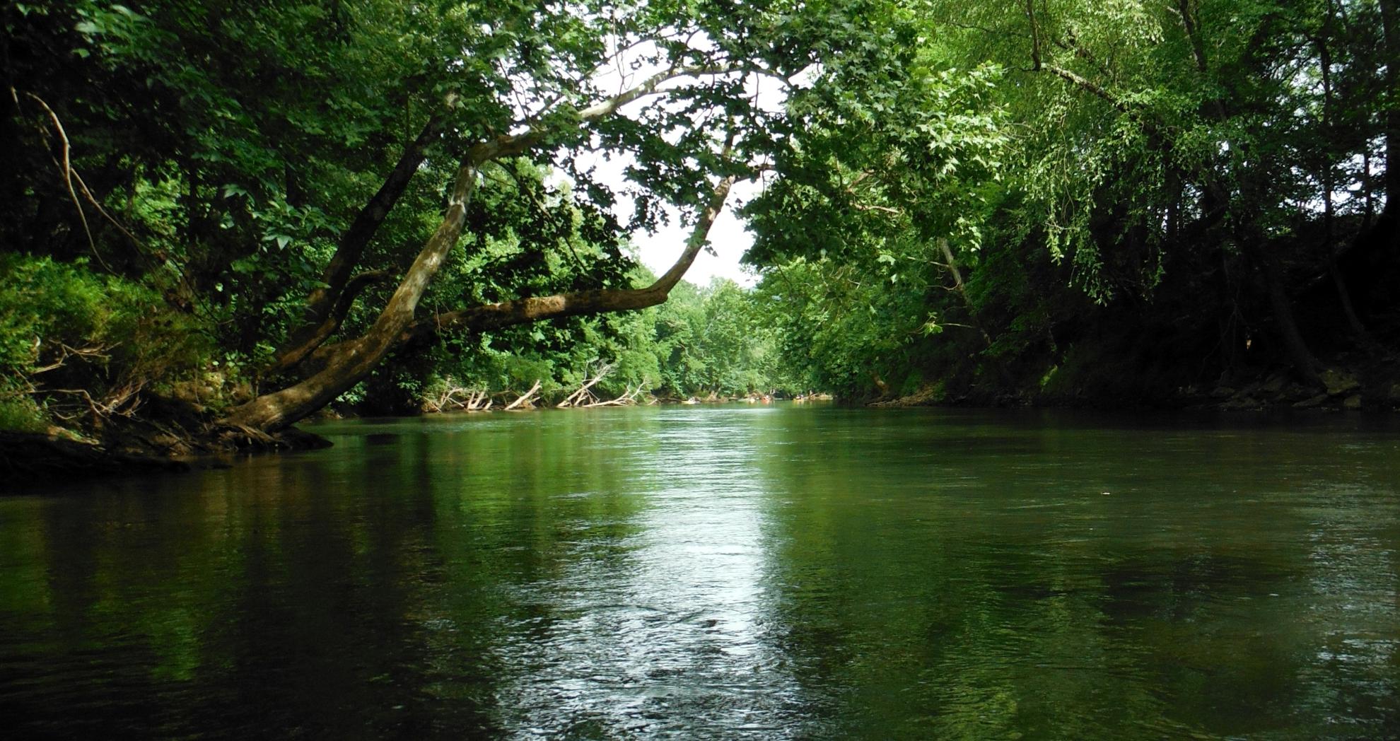 The beauty of nature is abundant in 桃县